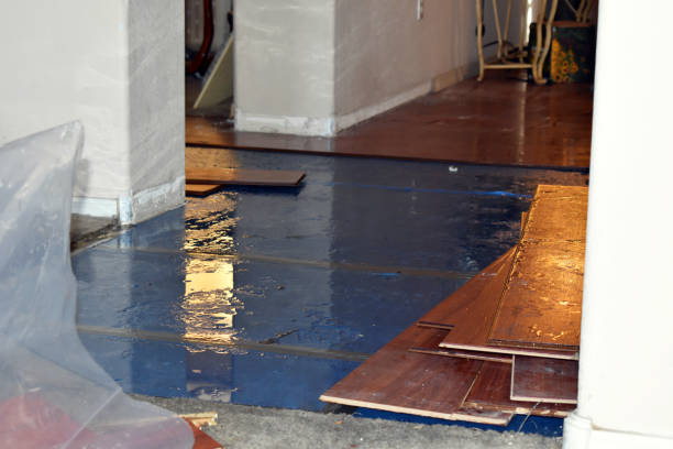 Professional Basement Water Removal technician working in Newhall, IA